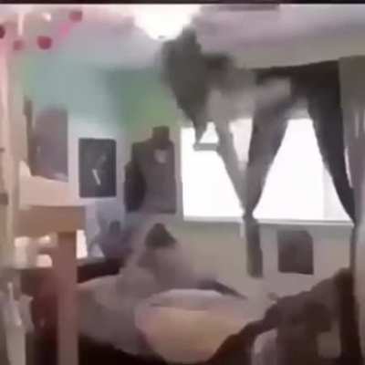 F