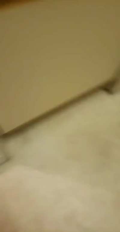 Perfectly cut milk flip