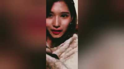 Alternate timeline Avengers ft. Captain Sana