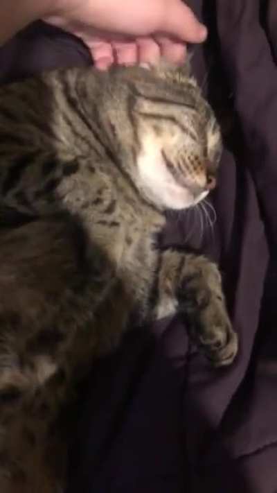 The worlds happiest fat bastard