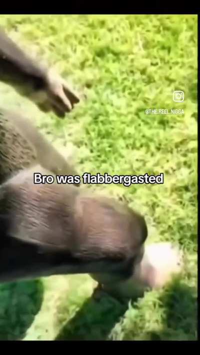 Camed Bigfoot