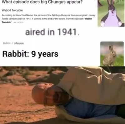 rip legend