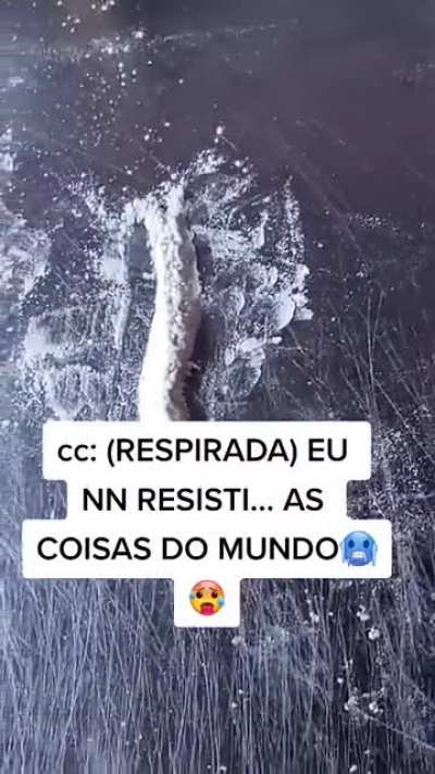 O Zoio t&aacute; diferente
