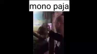 mono paja mono paja