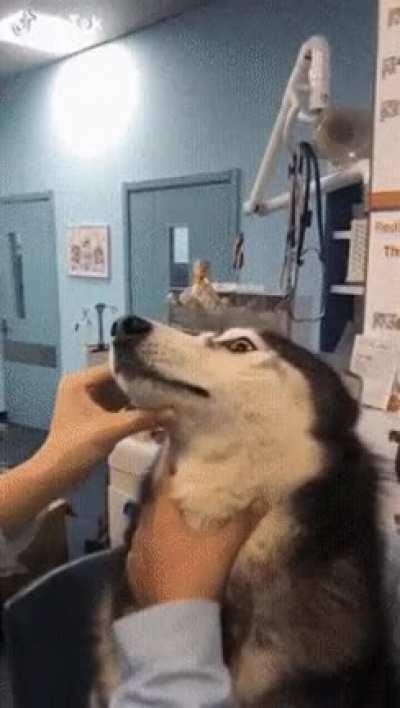 *mlem