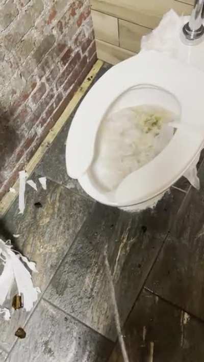 100% out of toilet