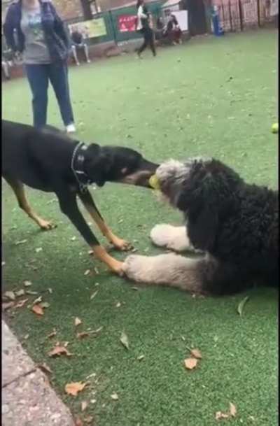 I feels like this belongs here&hellip;
