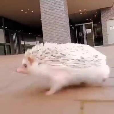 &ldquo;I am speed!&rdquo;