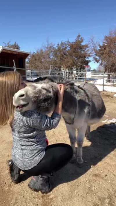 Pure happiness