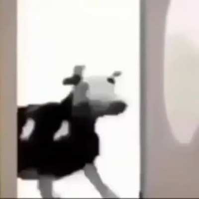 Esse meme j&aacute; morreu man