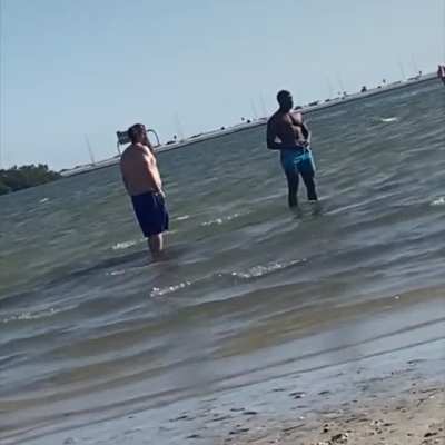 A normal day on the beach until someone takes a professional kick to the jaw