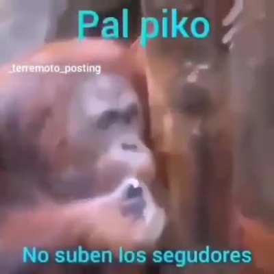 Pal piko
