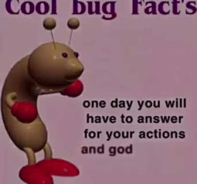 What a cool bug fact!