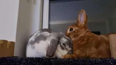 BFF ❤️