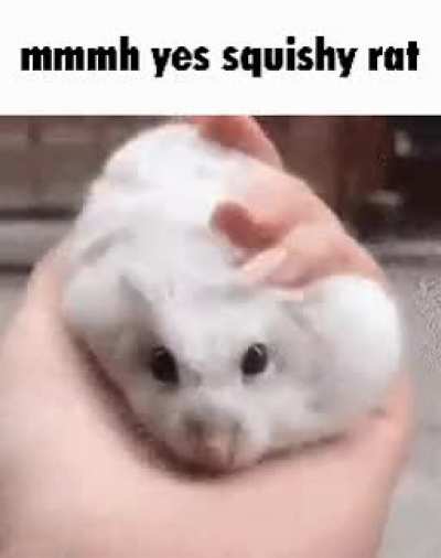 Mmmh