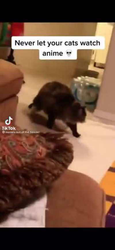 I think this belongs here