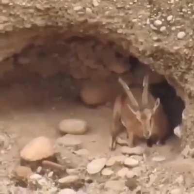 Maybe maybe maybe