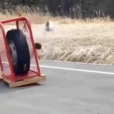 ACME tires
