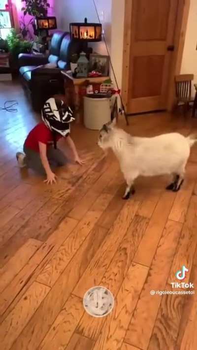 Kids head butting