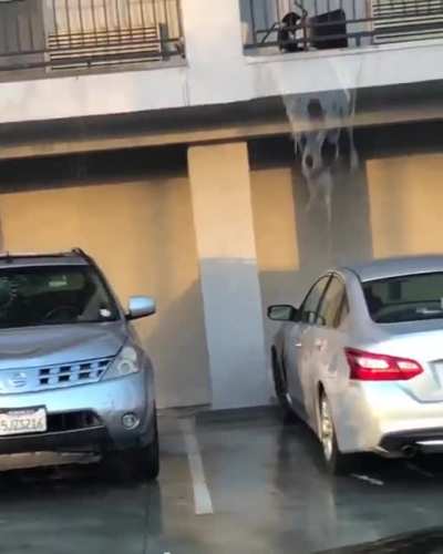 Wait for it....