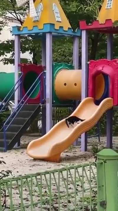 viyu
