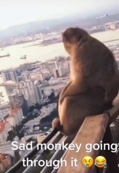 😢