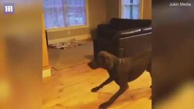 &ldquo;I guess that&rsquo;s how we walk now&rdquo;