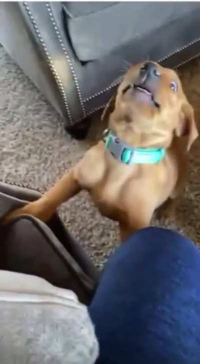 No!!!!!&hellip;..