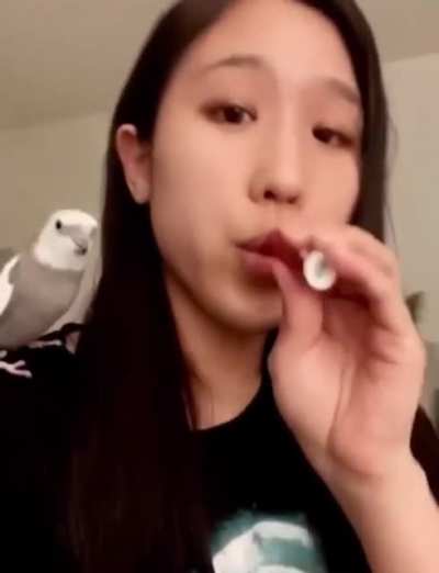 Super talented birb
