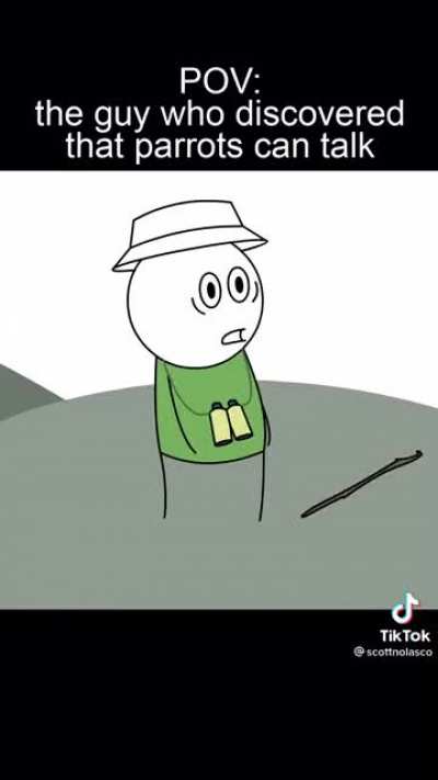 wtf!?