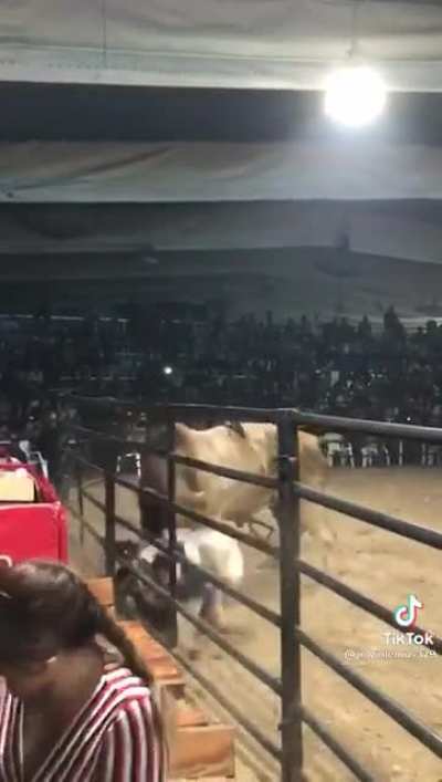 The bull isn&rsquo;t red but it sure gave him wings.