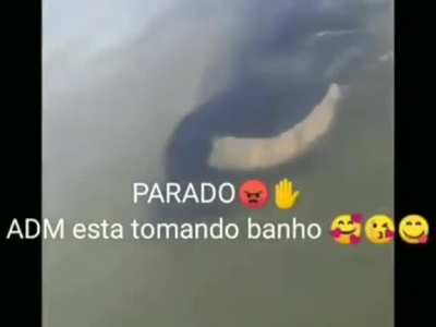 Parado