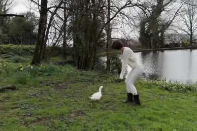 'A swamp life would be alright by me' - IG March 2026