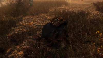 skyrim