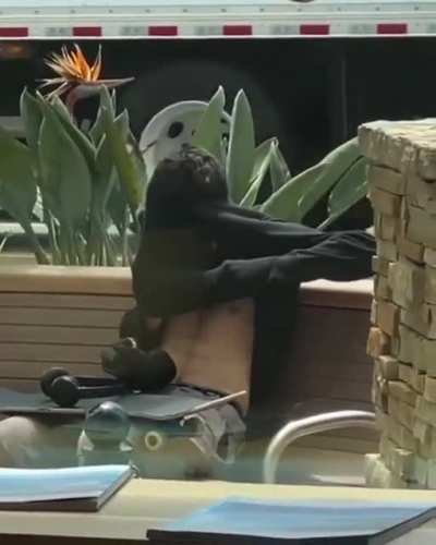 Smoking weed in public