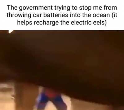 eels