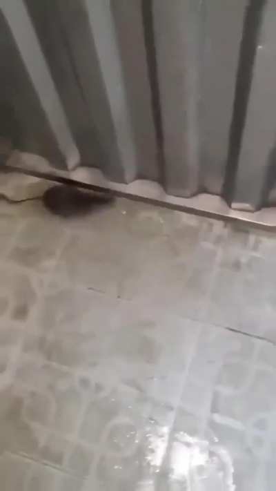 Help me friend!