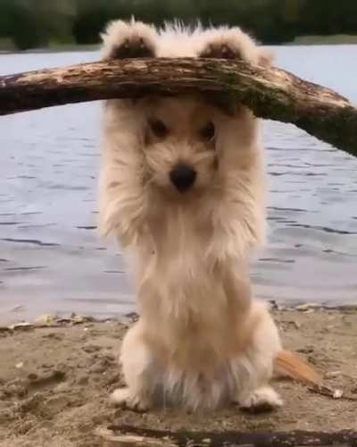 AWWW