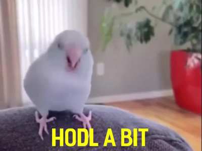As the price goes up, here&rsquo;s some motivation and something to remember