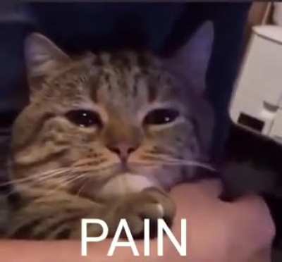 &bull;́ ‿ ,&bull;̀