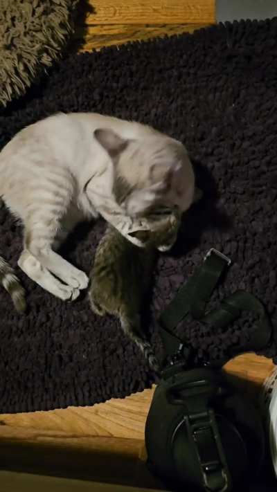 Learning to fite