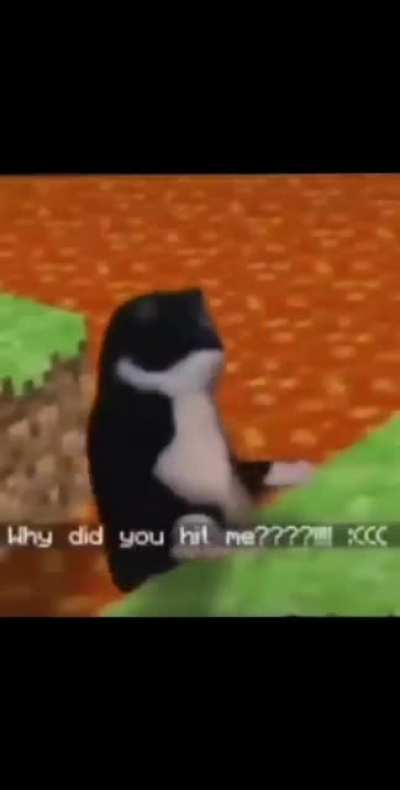 🍞