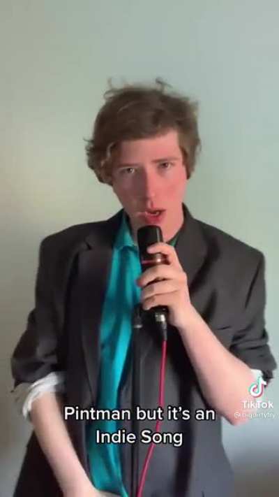 Pintman but it&rsquo;s an indie song - @Bigdirtyfry on TikTok.