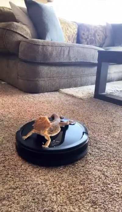 New fav activity