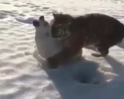 Maybe Maybe Maybe