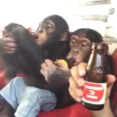 Eu e a rapaziada depois da quarentona