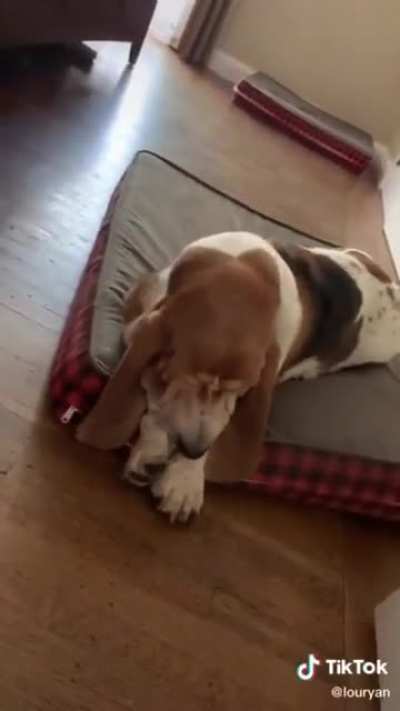 Winston doesn't like Pop Smoke