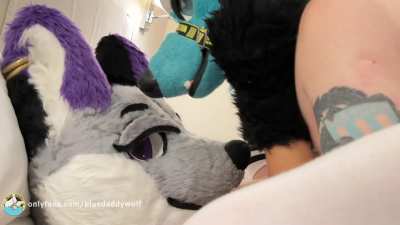 Need more cum-hungry slutty vixens like this to breed and impregnate daily<wbr>🔥🐺🍆💦 Don't miss the full video along with a special mystery guest in my OnFs  