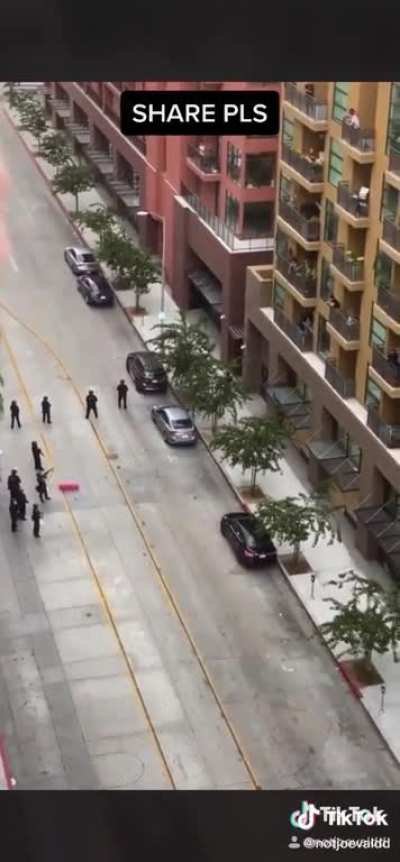 American Police pointing guns at people in their own homes.