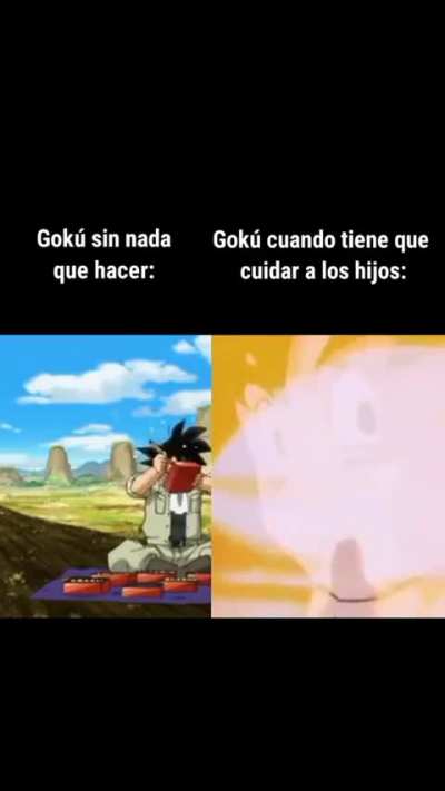 Xd